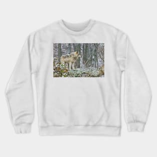 Gray Wolf In Winter Crewneck Sweatshirt